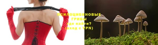MESCALINE Баксан